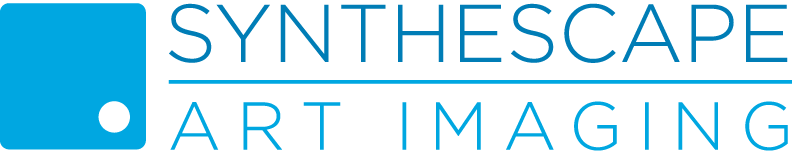 Synthescape logo